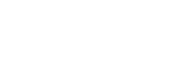 Eleveo logo transparent